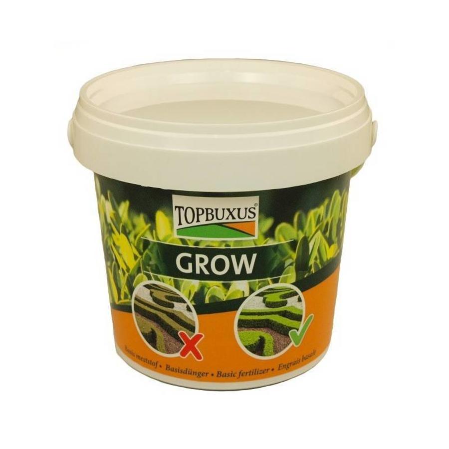 Snelwerkende buxus groeimest