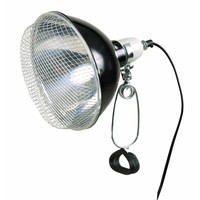 Reflector klemlamp met draadbeschermkap voor terrariumverlichting