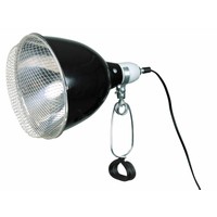 Reflector klemlamp met draadbeschermkap voor terrariumverlichting