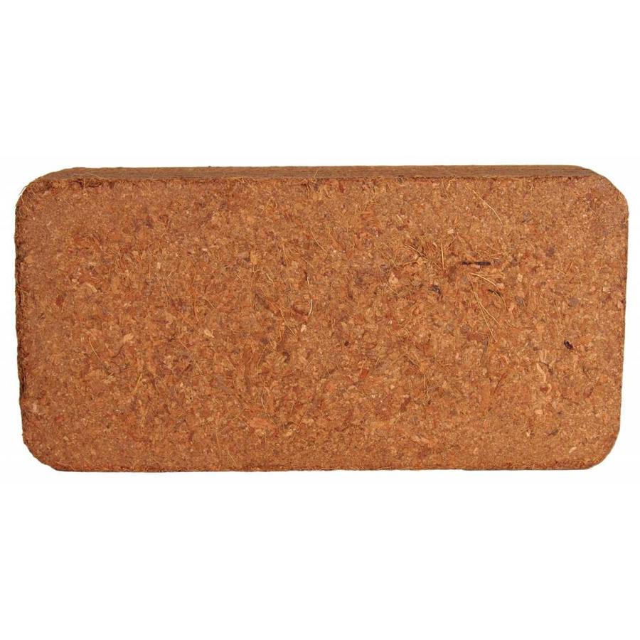 Kokosvezel humus terrariumsubstraat voor regenwoudterraria