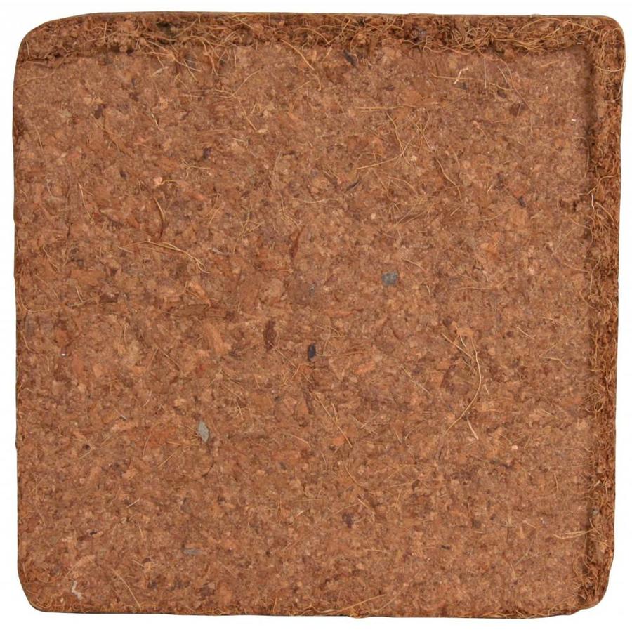 Kokosvezel humus terrariumsubstraat 2 | 9 | 60 liter voor regenwoudterraria