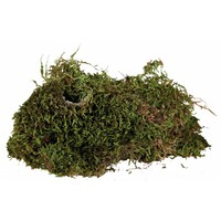 Terrariummos bodembedekker 200 g voor regenwoudterraria