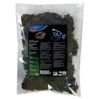Terrariummos bodembedekker 200 g voor regenwoudterraria