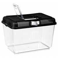 Transport- en voederbox voor reptielen en amfibieën | 5 maten