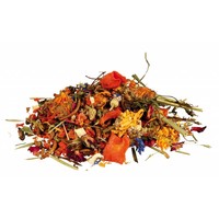 Natuurvoer-mix voor baardagamen 100 g aanvullend mengvoer voor omnivore reptielen