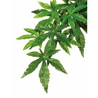 Abuliton hangende regenwoudplant medium – realistische kunstplant voor terrarium