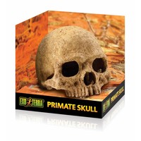 Primate Skull schuilplaats large | 17 x 13,5 x 11,5 cm | terrariumdecor