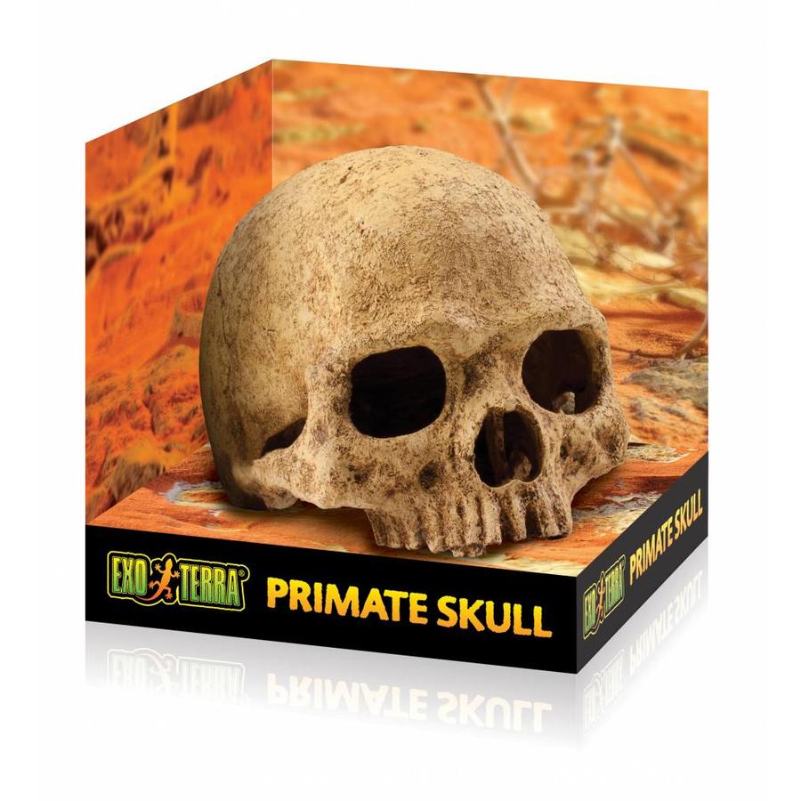 Primate Skull schuilplaats large | 17 x 13,5 x 11,5 cm | terrariumdecor