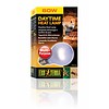 Neodymium Daglichtlamp Sg A19