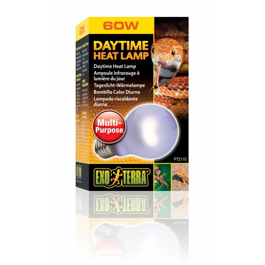 Daglicht Warmtelamp 60W – Breedspectrum daglicht met UVA en warmteafgifte