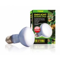 Neodymium Daglicht Warmtespot