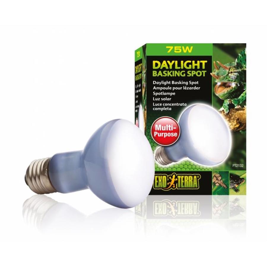 Neodymium Daglicht Warmtespot