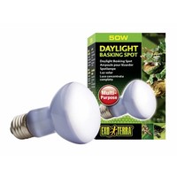 Neodymium Daglicht Warmtespot