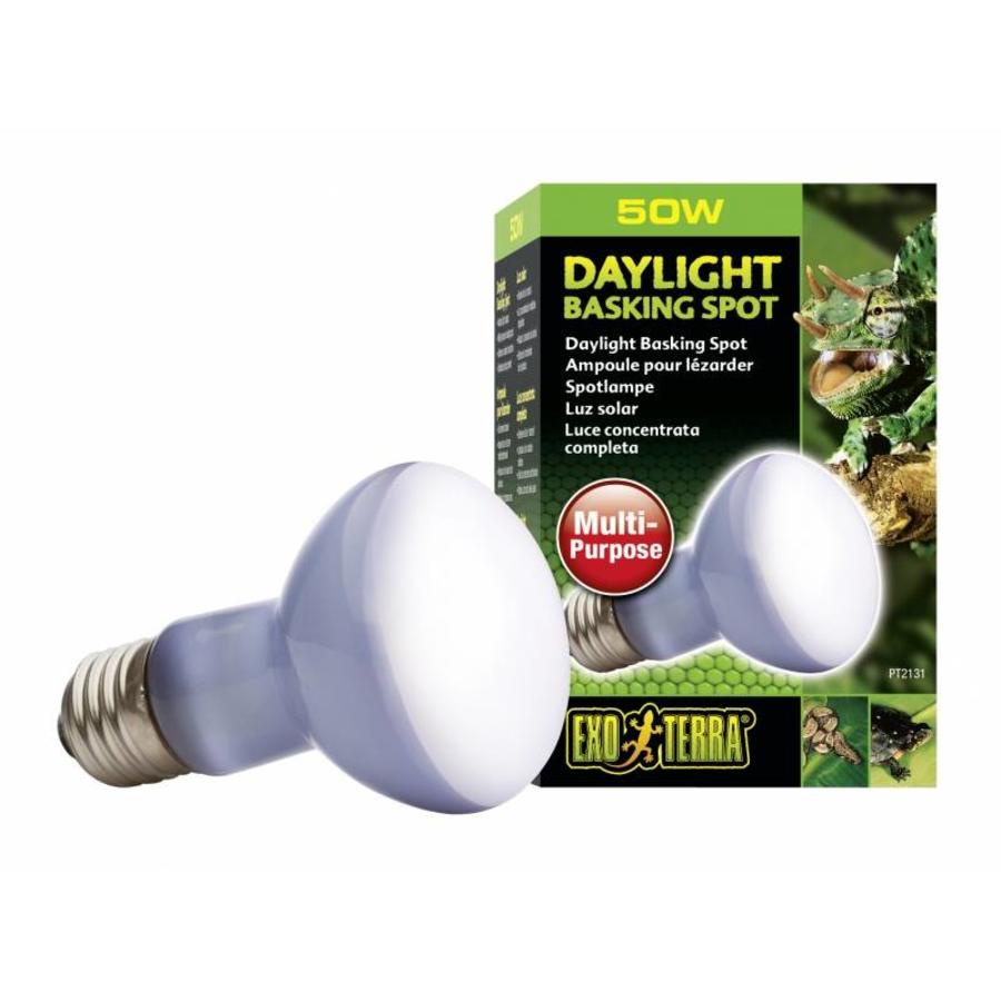 Neodymium Daglicht Warmtespot