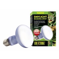 Neodymium Daglicht Warmtespot