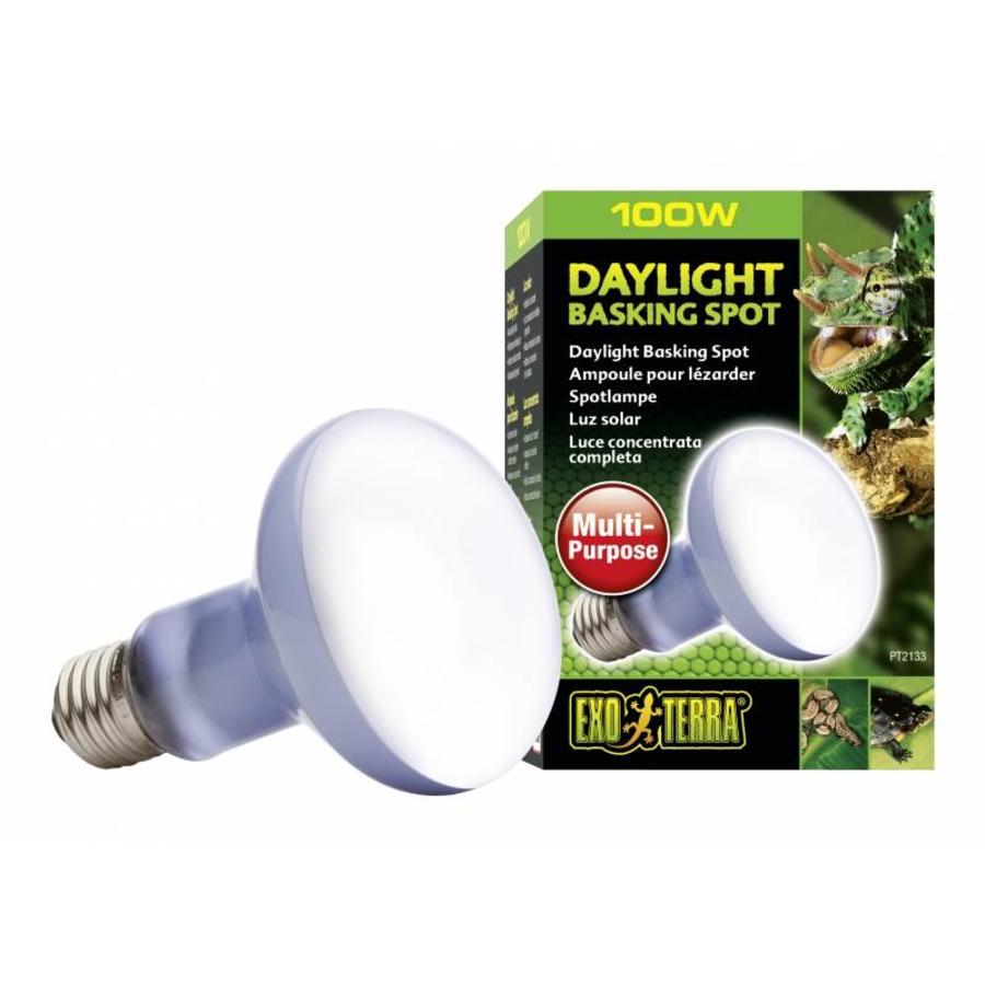 Neodymium Daglicht Warmtespot