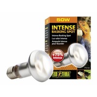 Intense Basking Spot – 35 % meer licht en warmte
