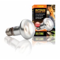 Intense Basking Spot 25 W | 50 W | 75 W | 100 W | 150 W – 35 % meer licht en warmte