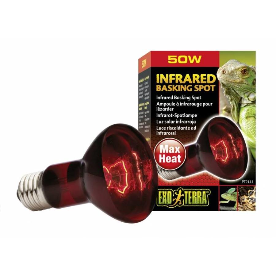 Infrarood Warmtespot 50 W | 75 W | 100 W | 150 W – 24-uurs warmtebron met rood glas