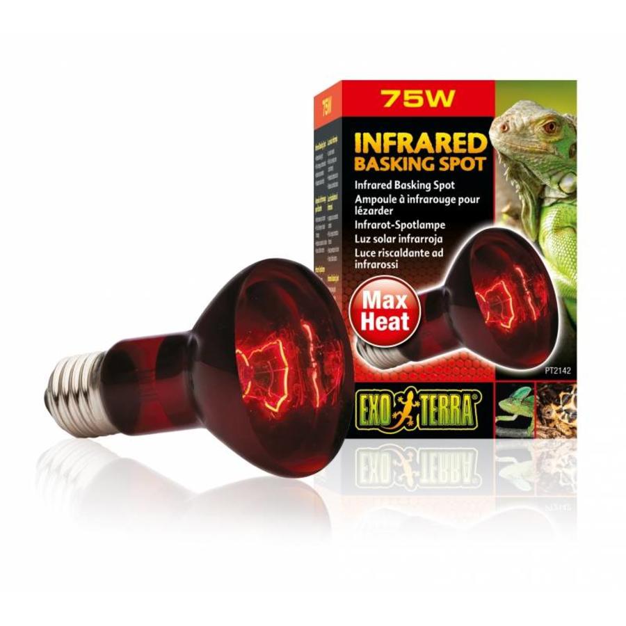 Infrarood Warmtespot 50 W | 75 W | 100 W | 150 W – 24-uurs warmtebron met rood glas