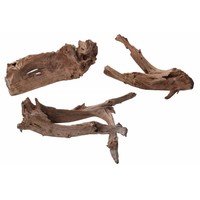 Mango hout worteldecoratie | natuurlijke decoratie voor aquarium en terrarium