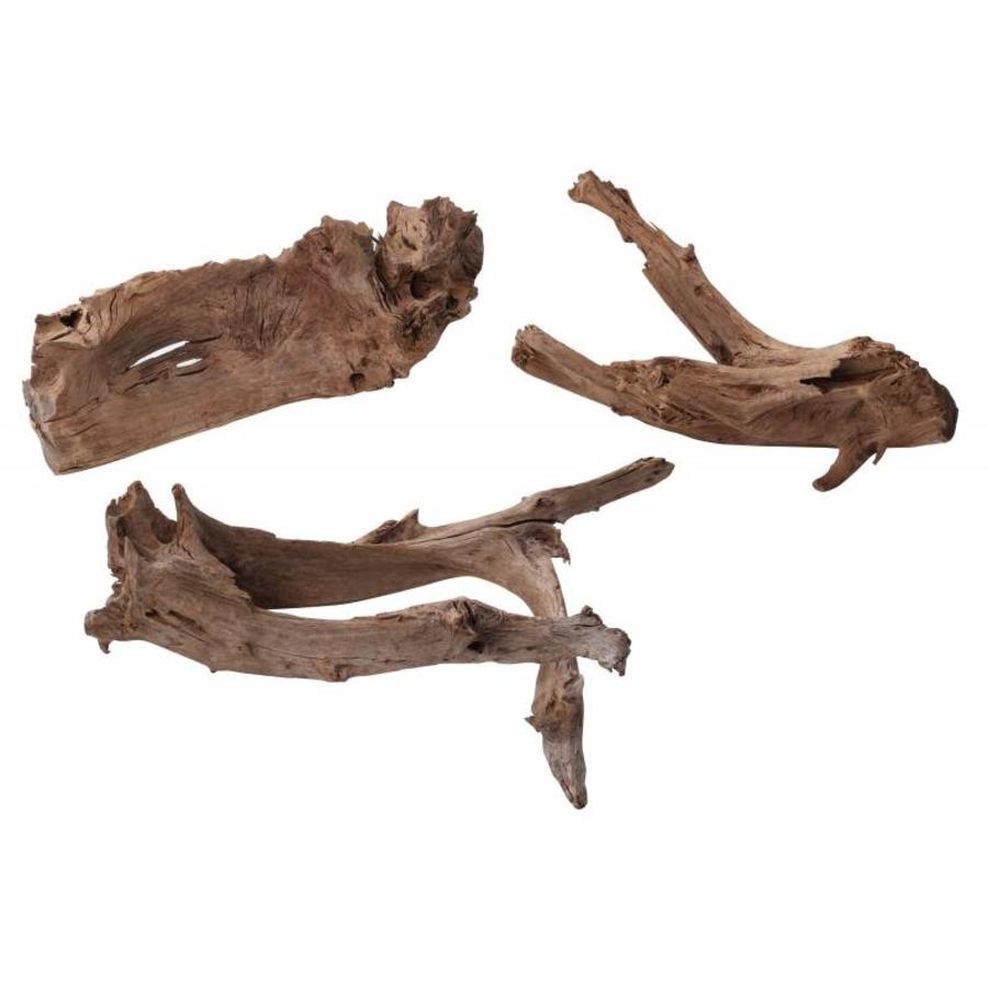 Mango hout worteldecoratie | natuurlijke decoratie voor aquarium en terrarium