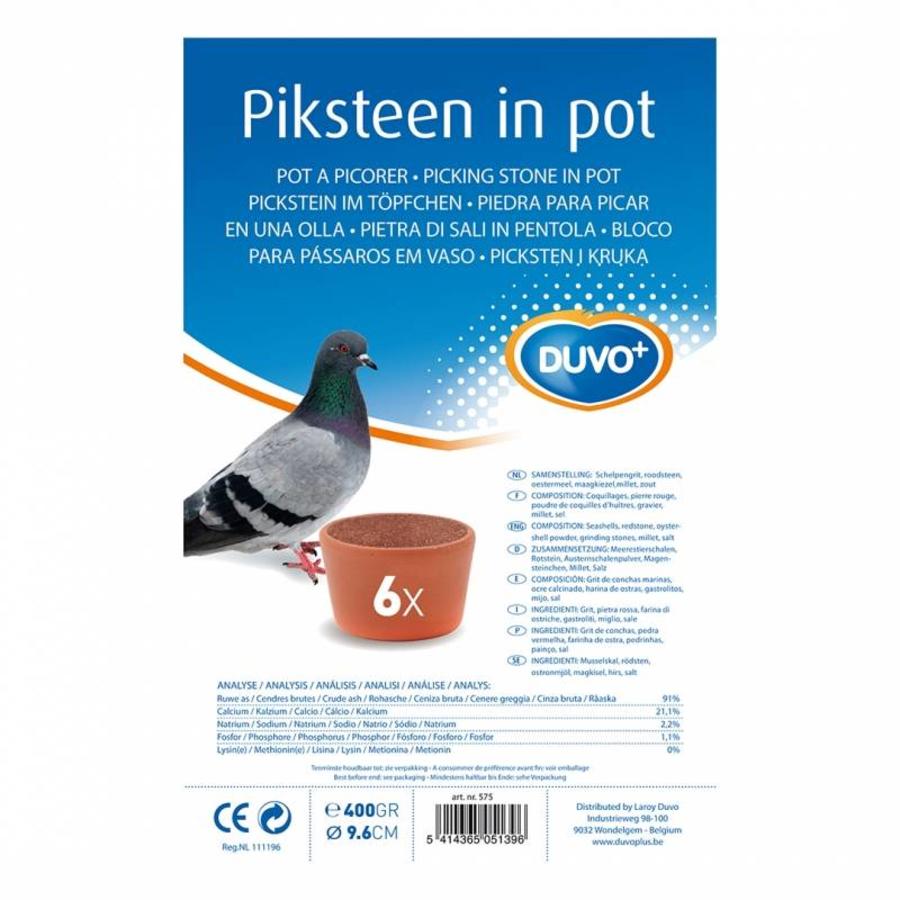 Piksteen in pot