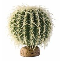 Cylinder Cactus