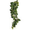 Sumatra Hanging Vine