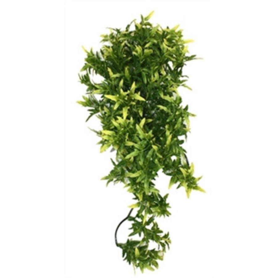 Croton kunstplant voor terrarium | 40 cm hoog | realistische schuilplant