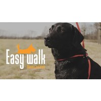 Easy Walk Mini