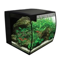 Flex aquarium zoetwaterkit 34 liter Zwart Aquarium