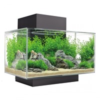 Edge I 2.0| 23L | 43 x 26 x 36,8CM Aquarium