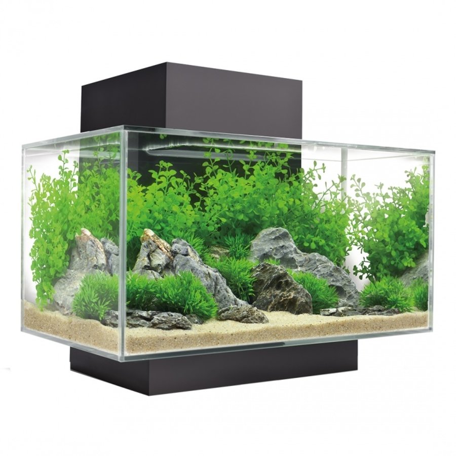 Edge I 2.0| 23L |  43 x 26 x 36,8CM Aquarium