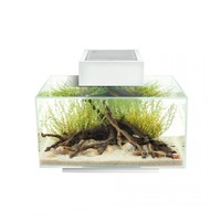 Edge I 2.0| 23L |  43 x 26 x 36,8CM Aquarium