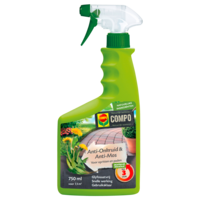 Anti-onkruid en anti-mos spray 750 ml voor opritten en paden