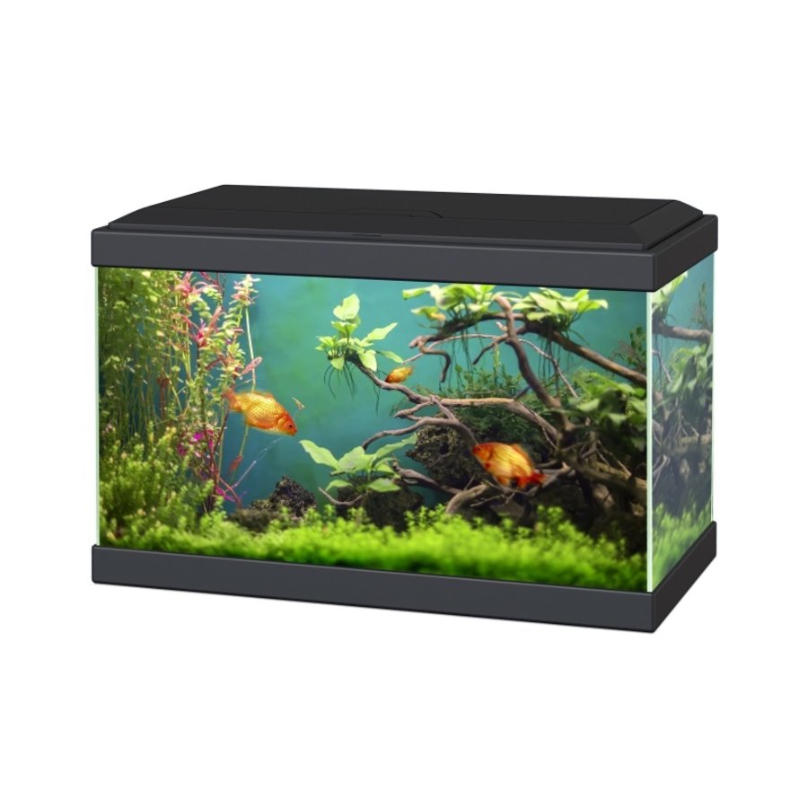 Aqua 20 Classic | 17L | 40 x 20 x 26CM Zwart Aquarium