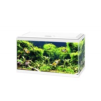 Aqua 60 LED CF150 | 58L | 60 x 30 x 33CM Wit Aquarium