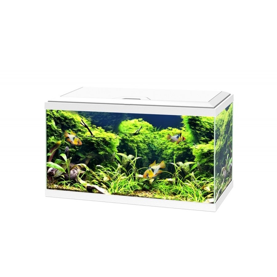 Aqua 60 LED CF150 | 58L | 60 x 30 x 33CM Wit Aquarium