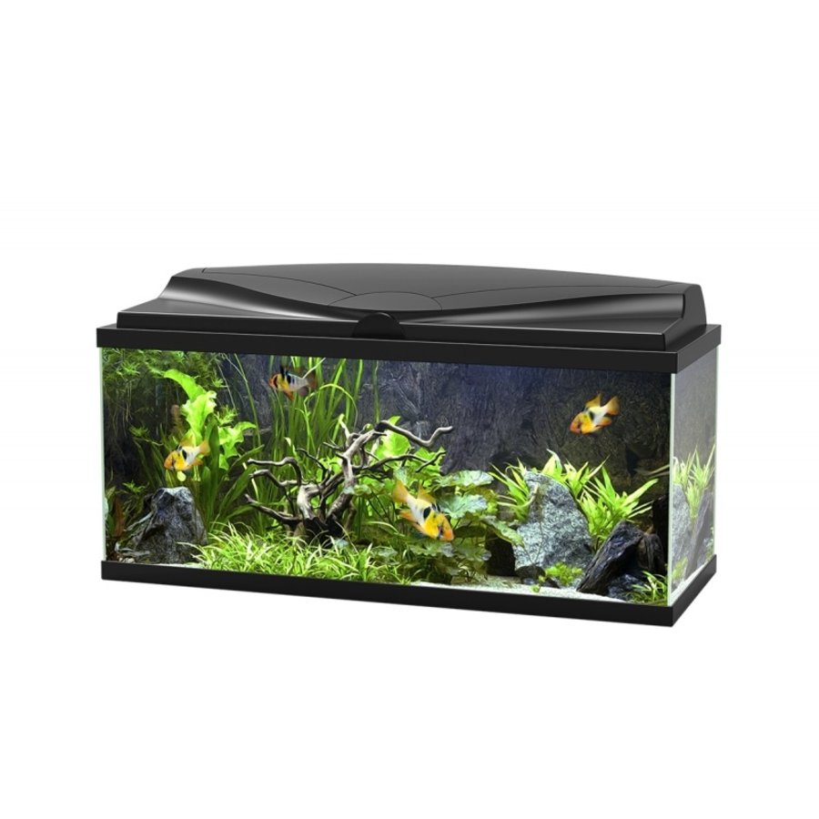 Aqua 80 LED CF150 | 71L | 80 x 30 x 41,5CM Zwart Aquarium