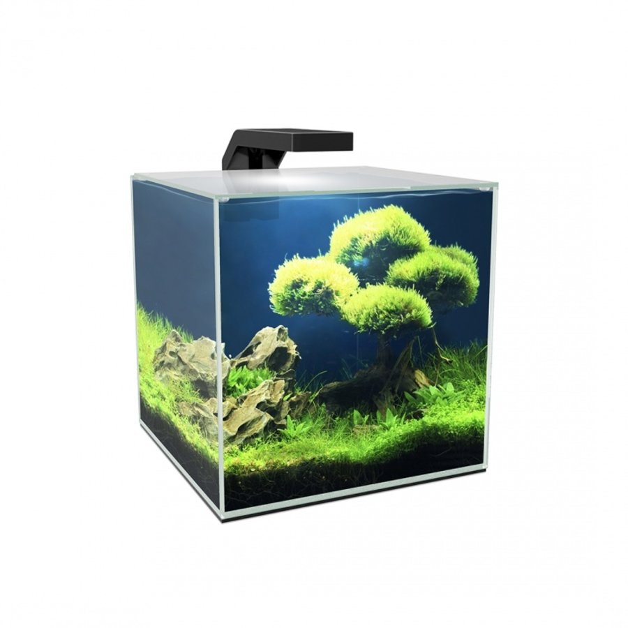 Cube 10 LED | 9,5L | 22 x 22 x 22CM Aquarium