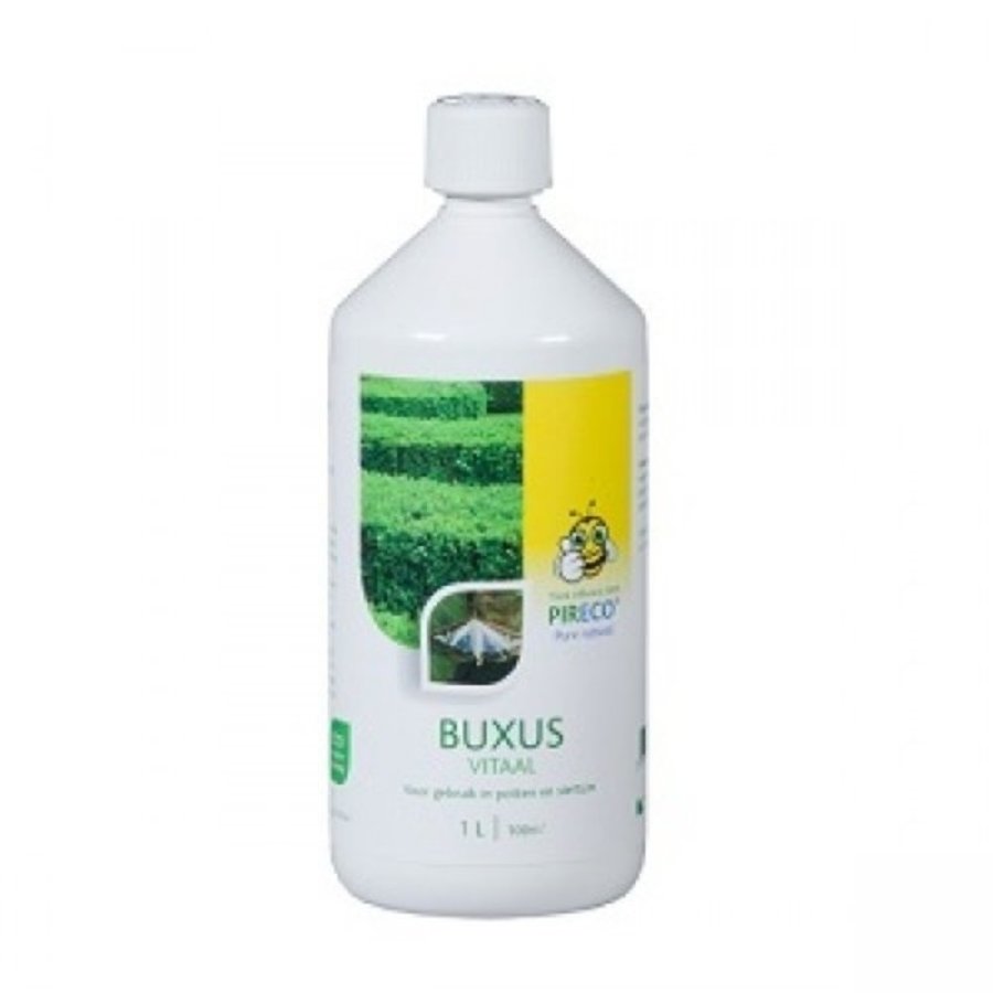 Buxus Vitaal