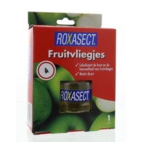 Fruitvliegjes Vanger