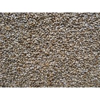 Japans Millet (GA841)