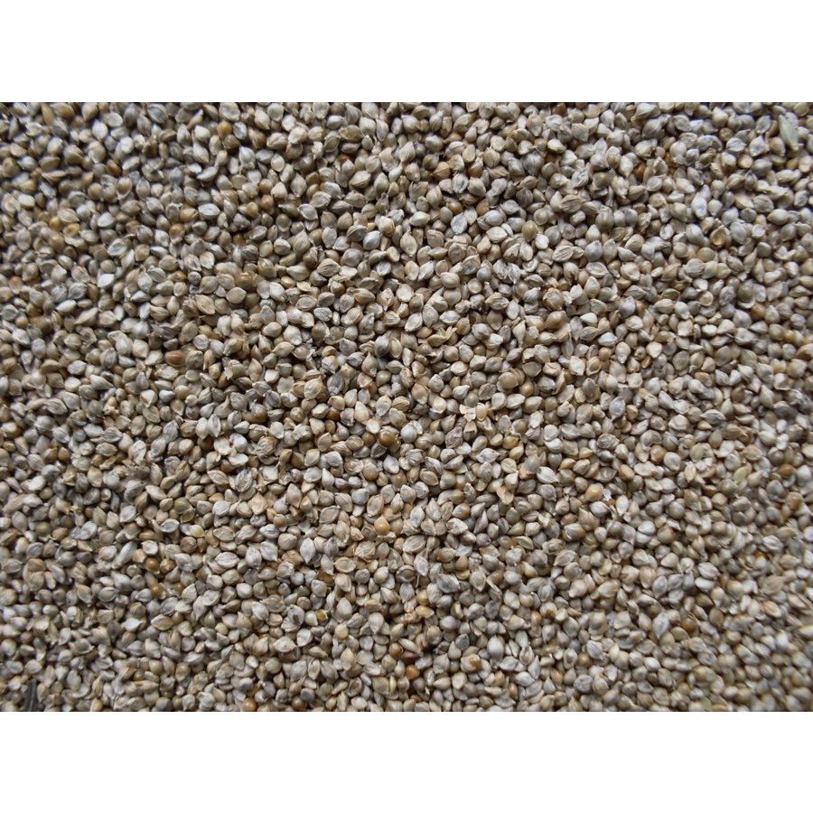 Japans Millet  25KG