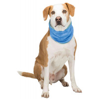 Koelbandana voor honden