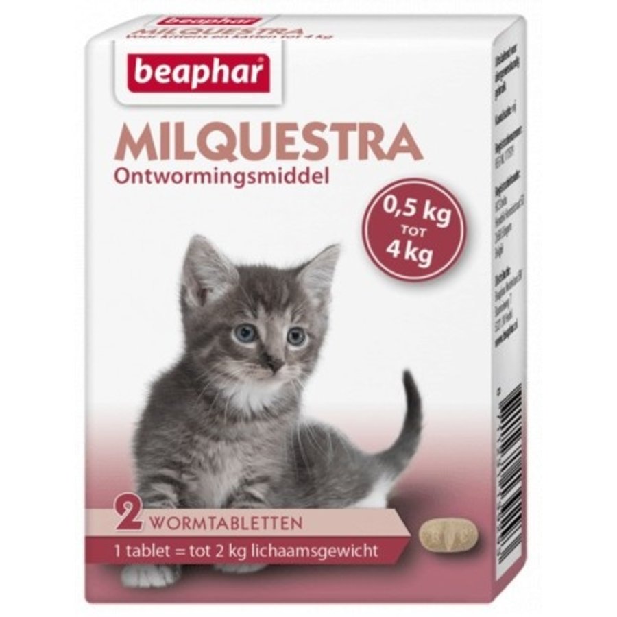 Milquestra kat