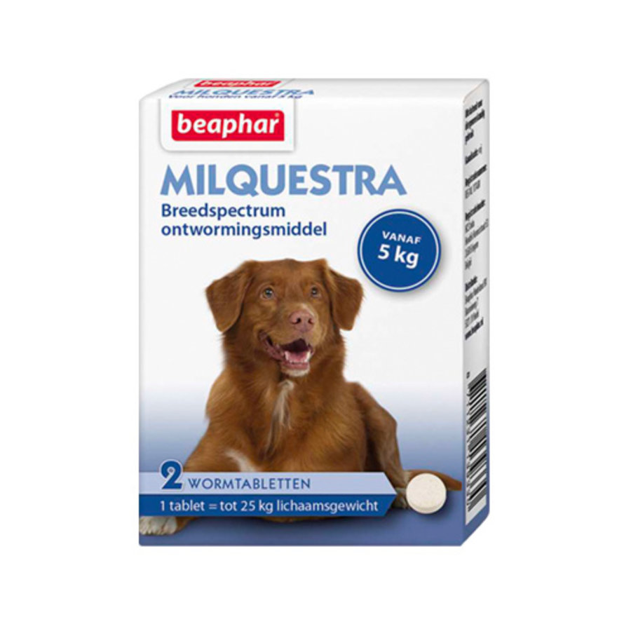 Milquestra hond