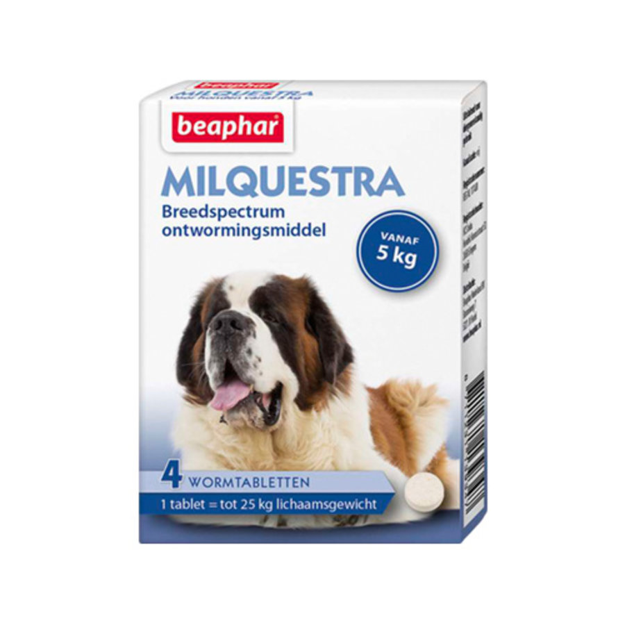 Milquestra hond