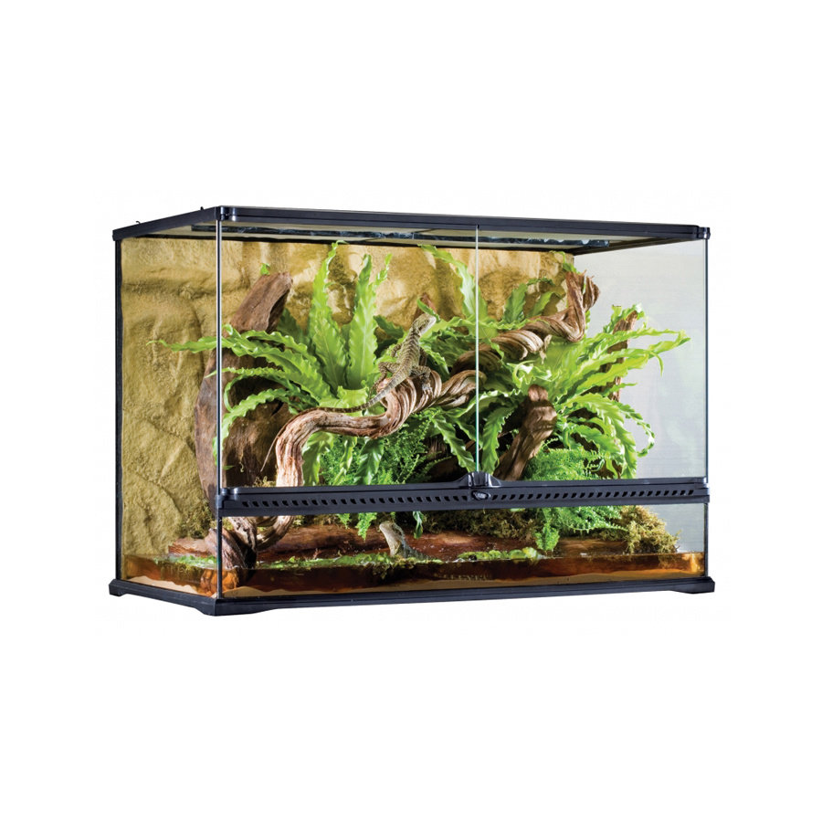 mengsel Op de grond inval Exo Terra Glas Terrarium met achterwand - Junai.nl